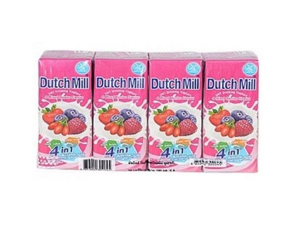 Dutch Mill Mixed Berries 4Pack